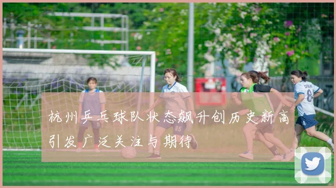 杭州乒乓球队状态飙升创历史新高引发广泛关注与期待